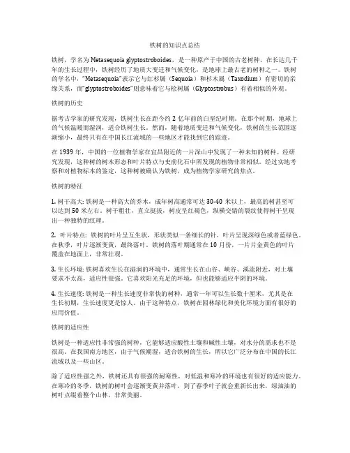 铁树的知识点总结