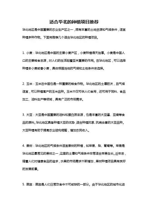 适合华北的种植项目推荐