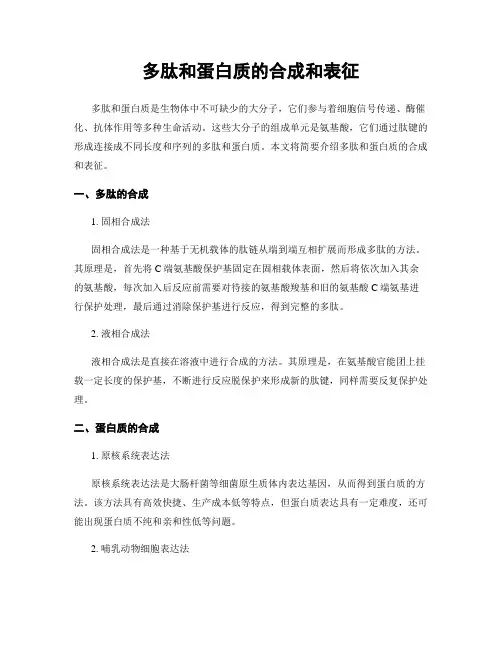 多肽和蛋白质的合成和表征