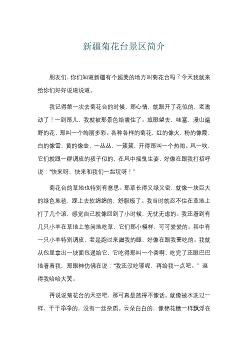 新疆菊花台景区简介