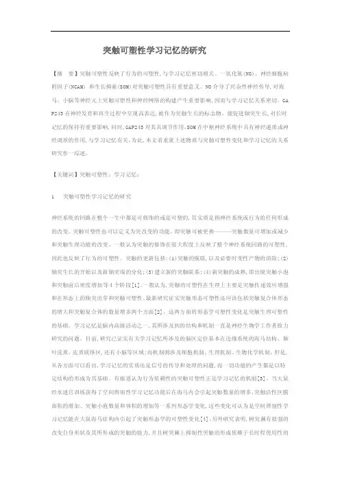 突触可塑性学习记忆的研究