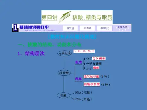 2014高考生物一轮复习高频考点通关讲练:1.4核酸、糖类与脂质