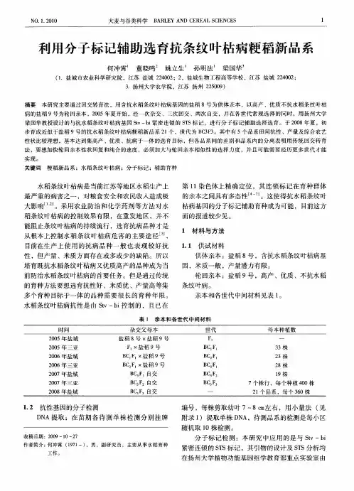 利用分子标记辅助选育抗条纹叶枯病粳稻新品系