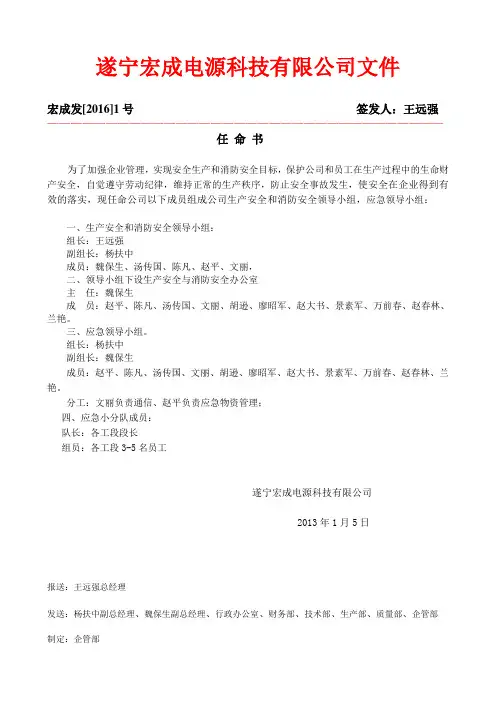 [2013.2]安全领导小组任命书