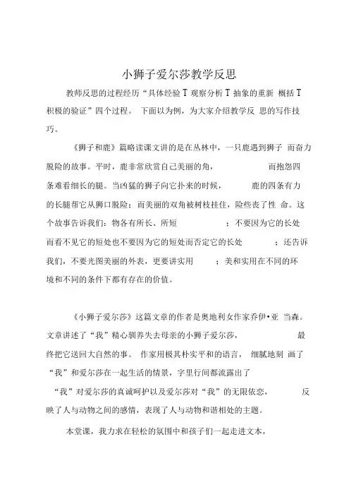 小狮子爱尔莎教学反思