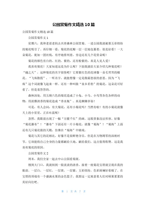 公园赏菊作文精选10篇