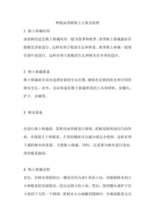 种植油茶树换土方案及流程