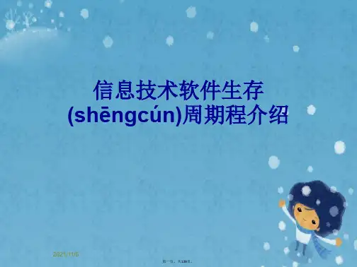 信息技术软件生存周期程介绍