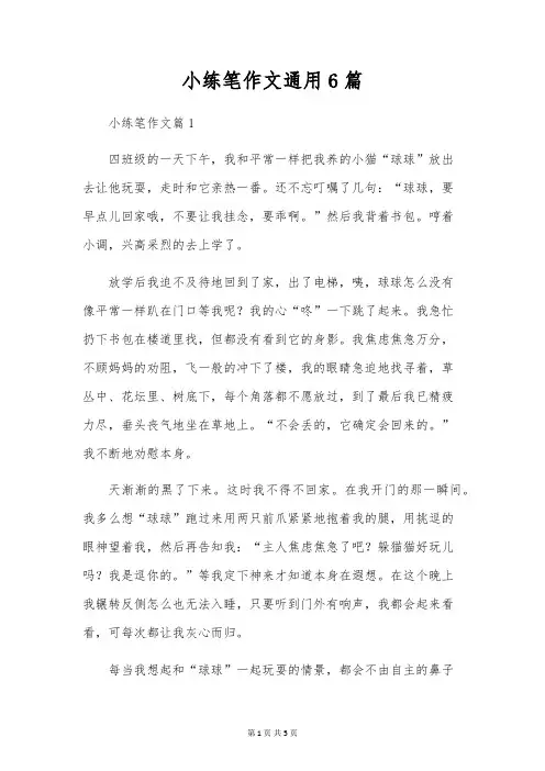小练笔作文通用6篇