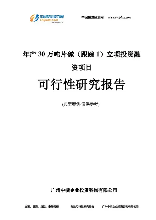 年产30万吨片碱(跟踪1)融资投资立项项目可行性研究报告(中撰咨询)