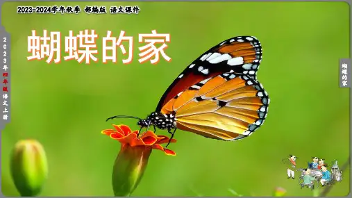 蝴蝶的家(共24张PPT)