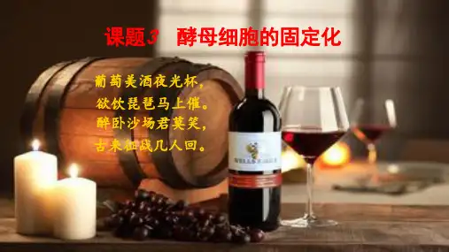 4.3 酵母细胞的固定化课件