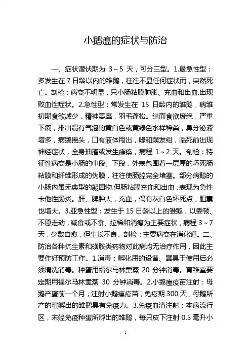 小鹅瘟的症状与防治