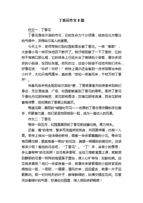 丁香花作文8篇