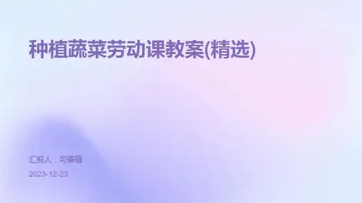 种植蔬菜劳动课教案(精选)ppt