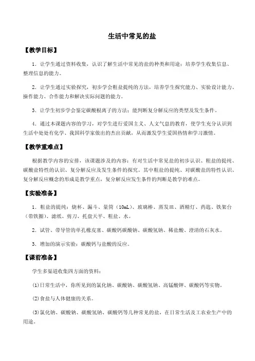 生活中常见的盐教学设计(初化人教版) 
