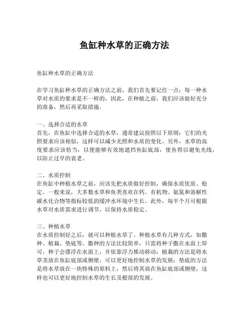鱼缸种水草的正确方法