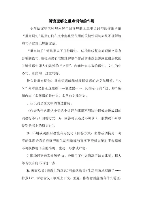 阅读理解之重点词句的作用