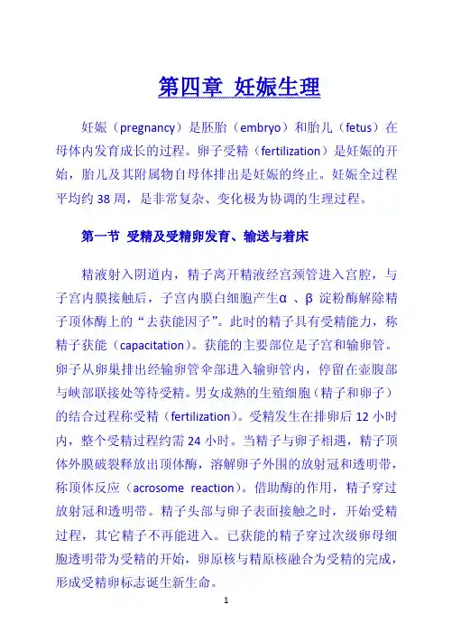 第四章 妊娠生理