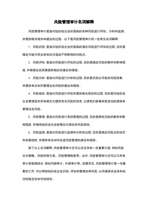 风险管理审计名词解释