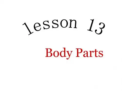冀教版七年级英语上 Lesson13课件(共20张ppt)