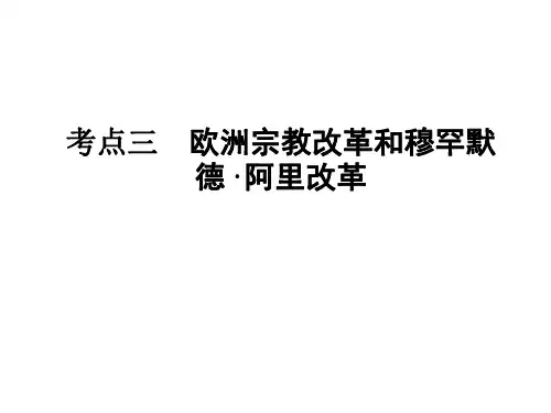 高二历史欧洲宗教改革