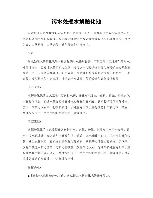 污水处理水解酸化池