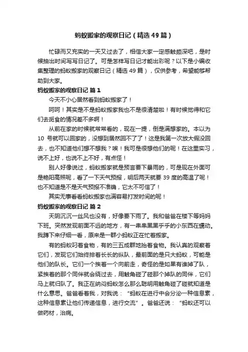 蚂蚁搬家的观察日记（精选49篇）
