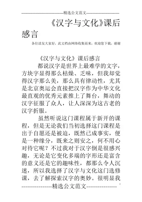 《汉字与文化》课后感言