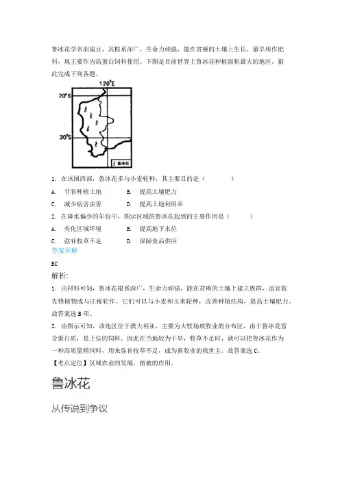 每日地理  鲁冰花