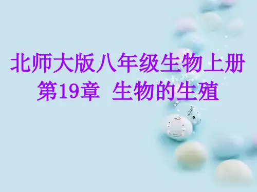 北师大版生物八上19.3《植物的生殖方式》课件(共35张PPT)