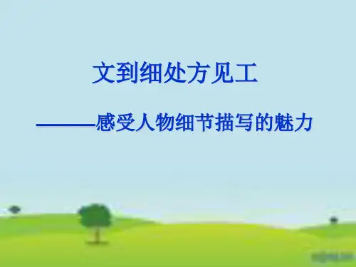 感受人物细节描写的魅力ppt课件