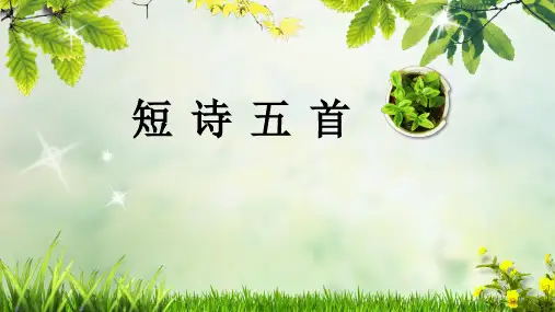 人教部编版语文九年级下册 3.《短诗五首》(共30张PPT)