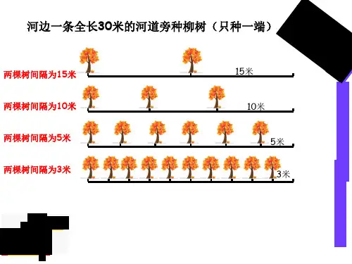 植树问题.一端种树问题ppt课件