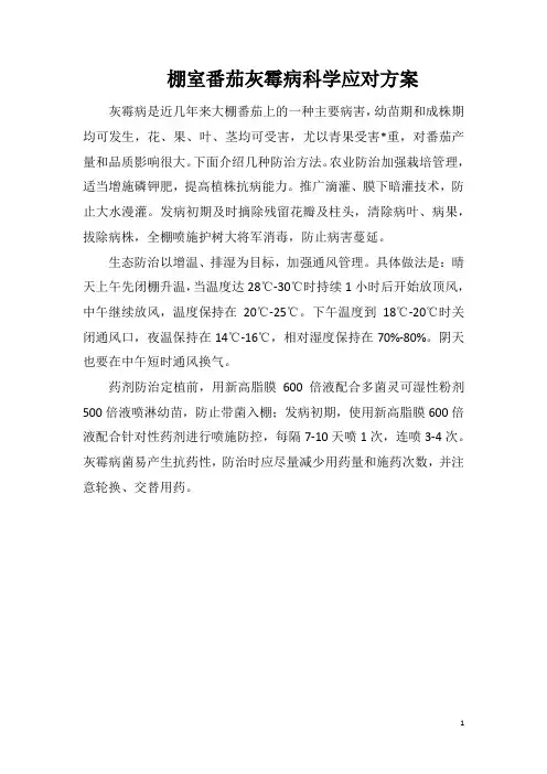棚室番茄灰霉病科学应对方案