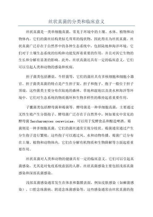 丝状真菌的分类和临床意义