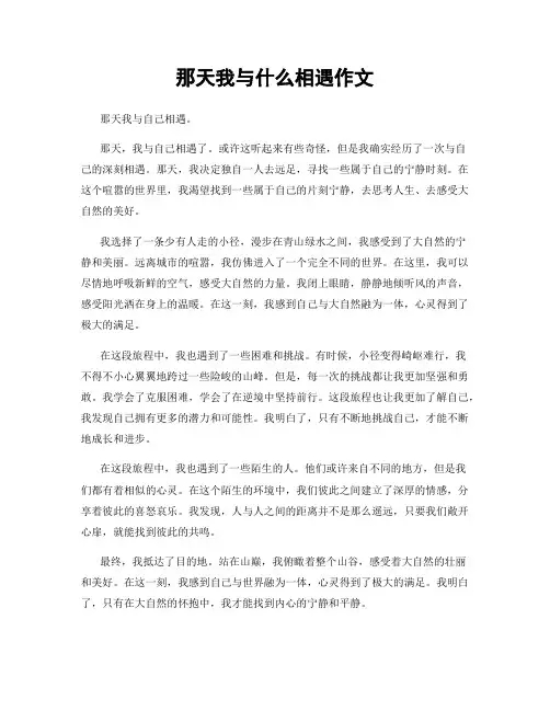 那天我与什么相遇作文