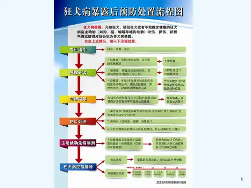 人狂犬病暴露预防处置课件