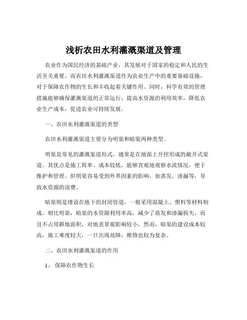 浅析农田水利灌溉渠道及管理
