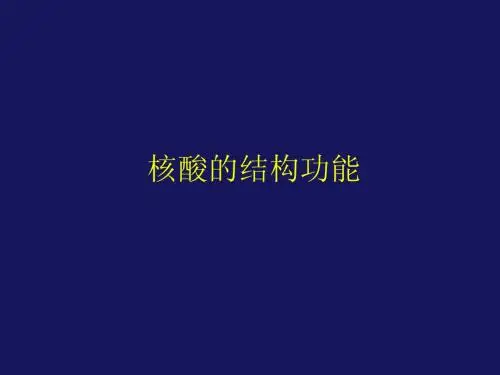 核酸的结构与功能