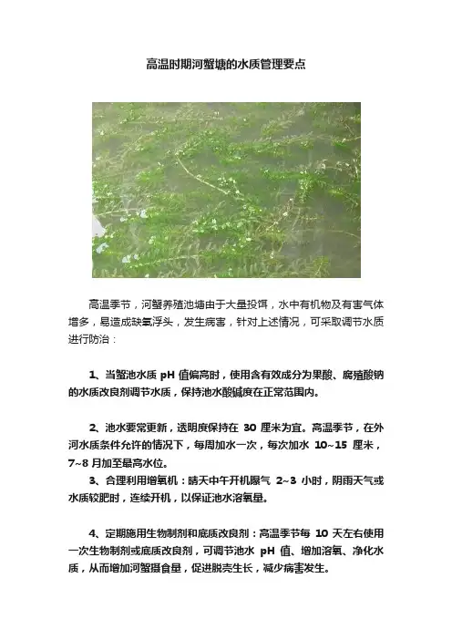 高温时期河蟹塘的水质管理要点
