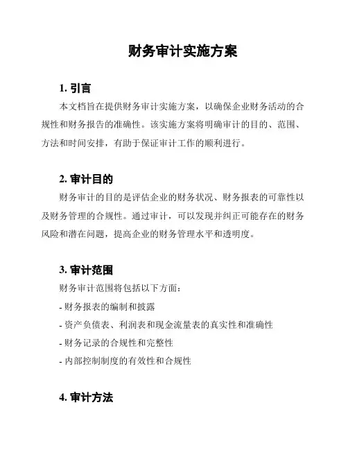 财务审计实施方案