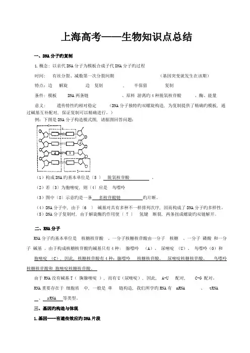 2023年上海生物知识点总结