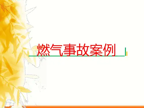 燃气事故案例学习2