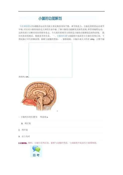 小脑的功能解剖汇总