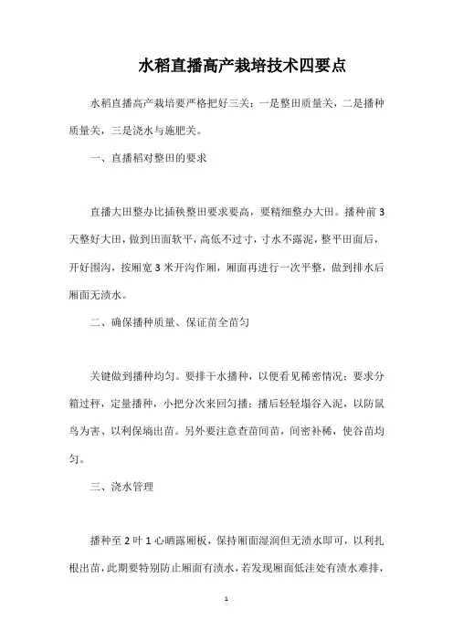水稻直播高产栽培技术四要点