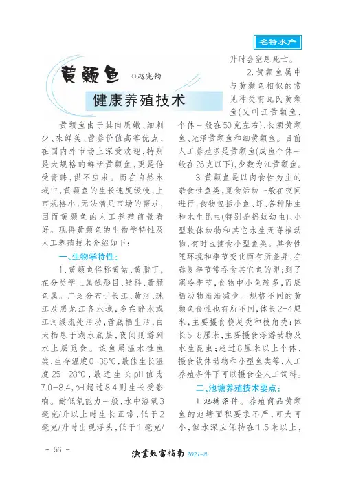 黄颡鱼健康养殖技术