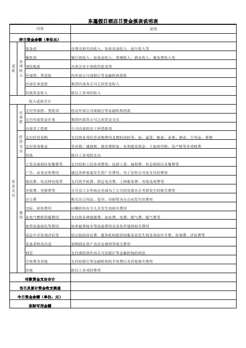 酒店日资金报表