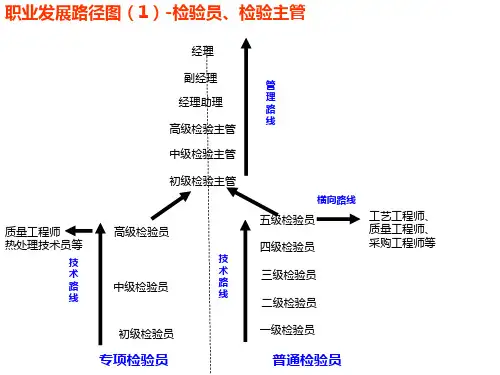 职业发展路径图