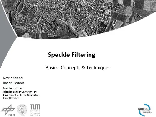 ID_2106_SAR-EDU_Lesson_Speckle_Filtering 滤波